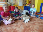 Zvířátkový den ve školce